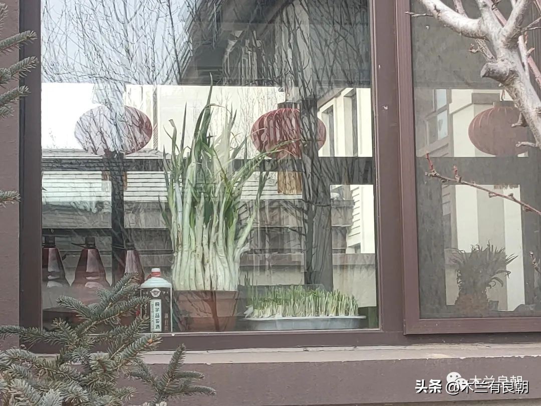 东北城市别墅价格,小县城别墅一万多一平方