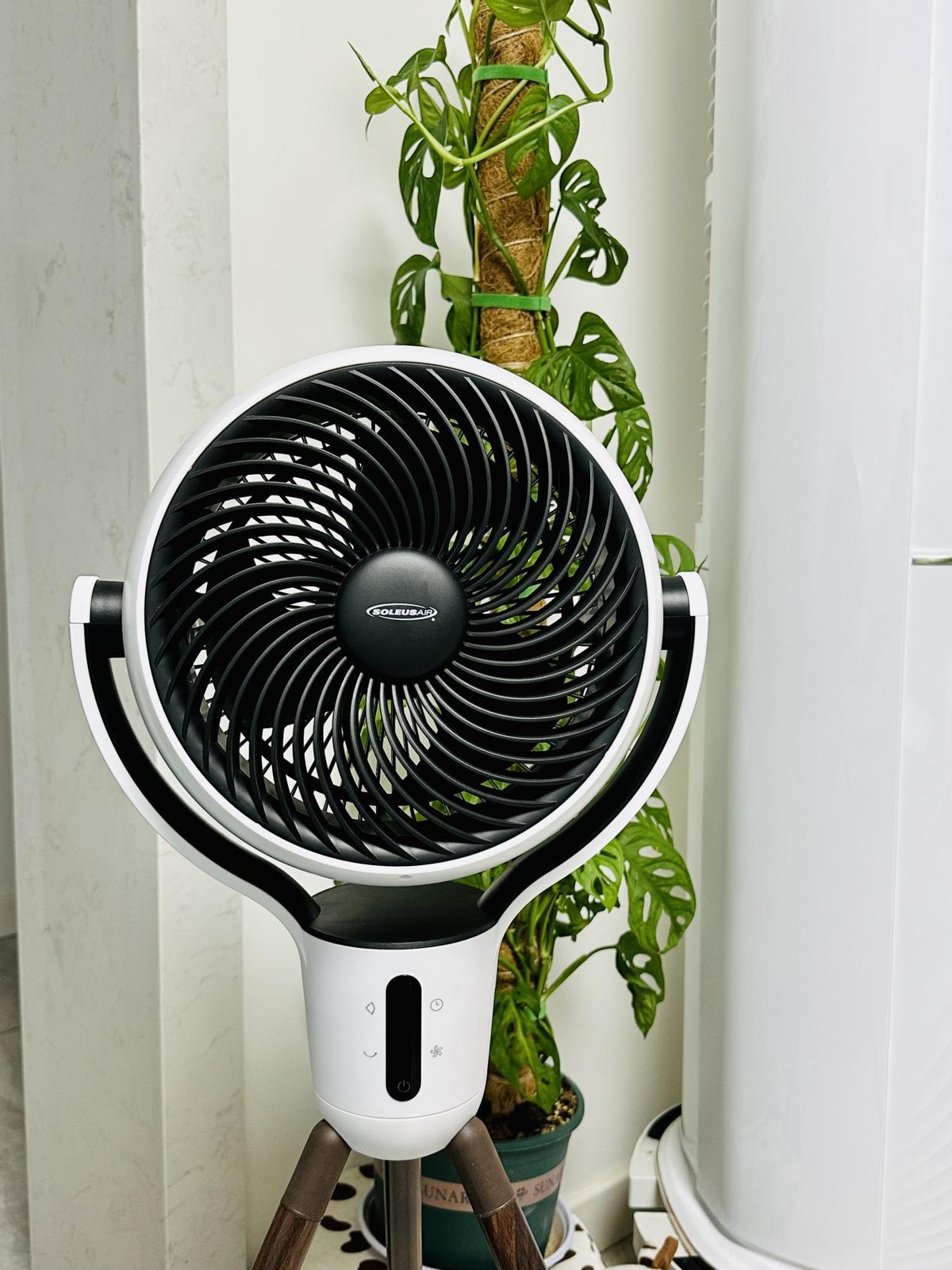 空气循环扇直接对人吹有什么危害,空气循环扇吹了真不会头疼吗