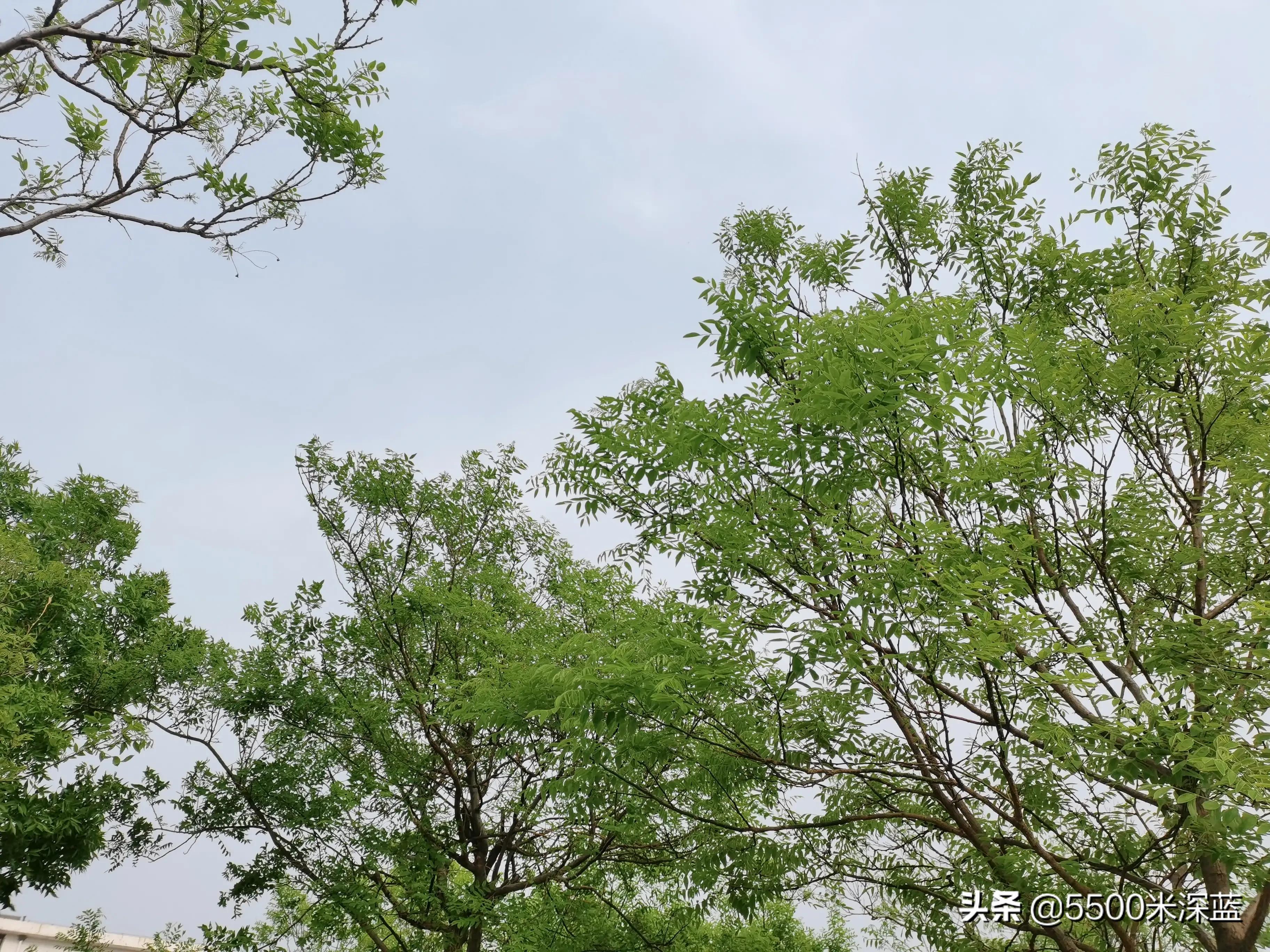 盘点足球奇迹时刻,分享足球比赛心得