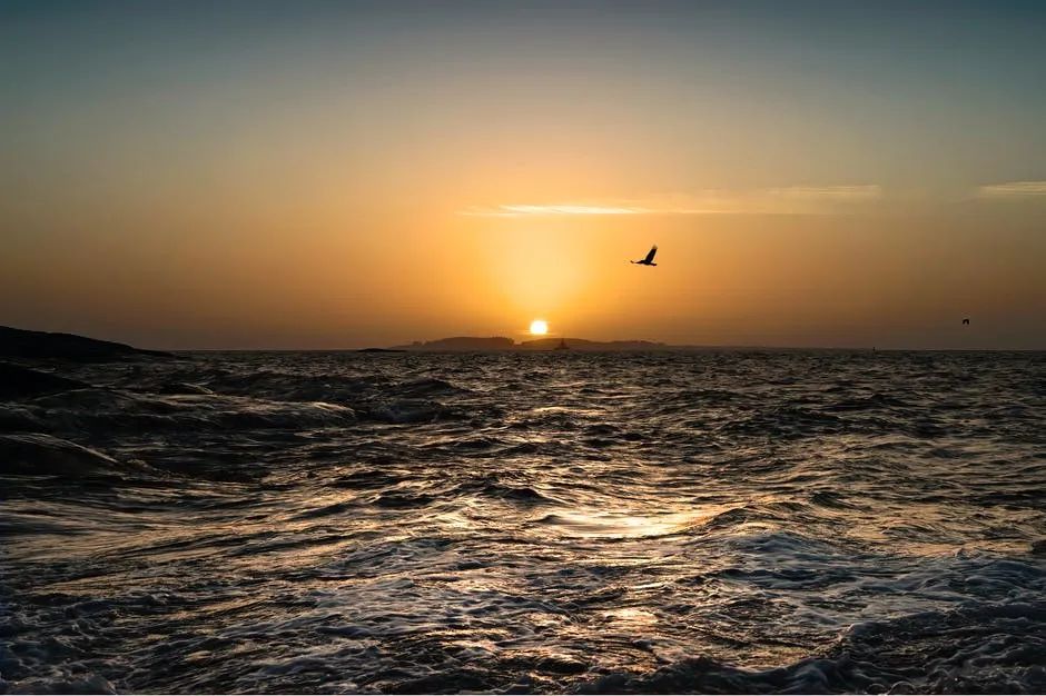 妻子职务高于我，如何平衡好社会和家庭两重关系？