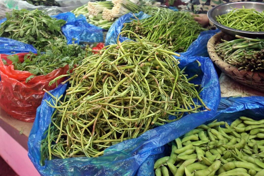 3月吃野菜，不要只知道荠菜，这“南京三宝”，比荠菜味道鲜美