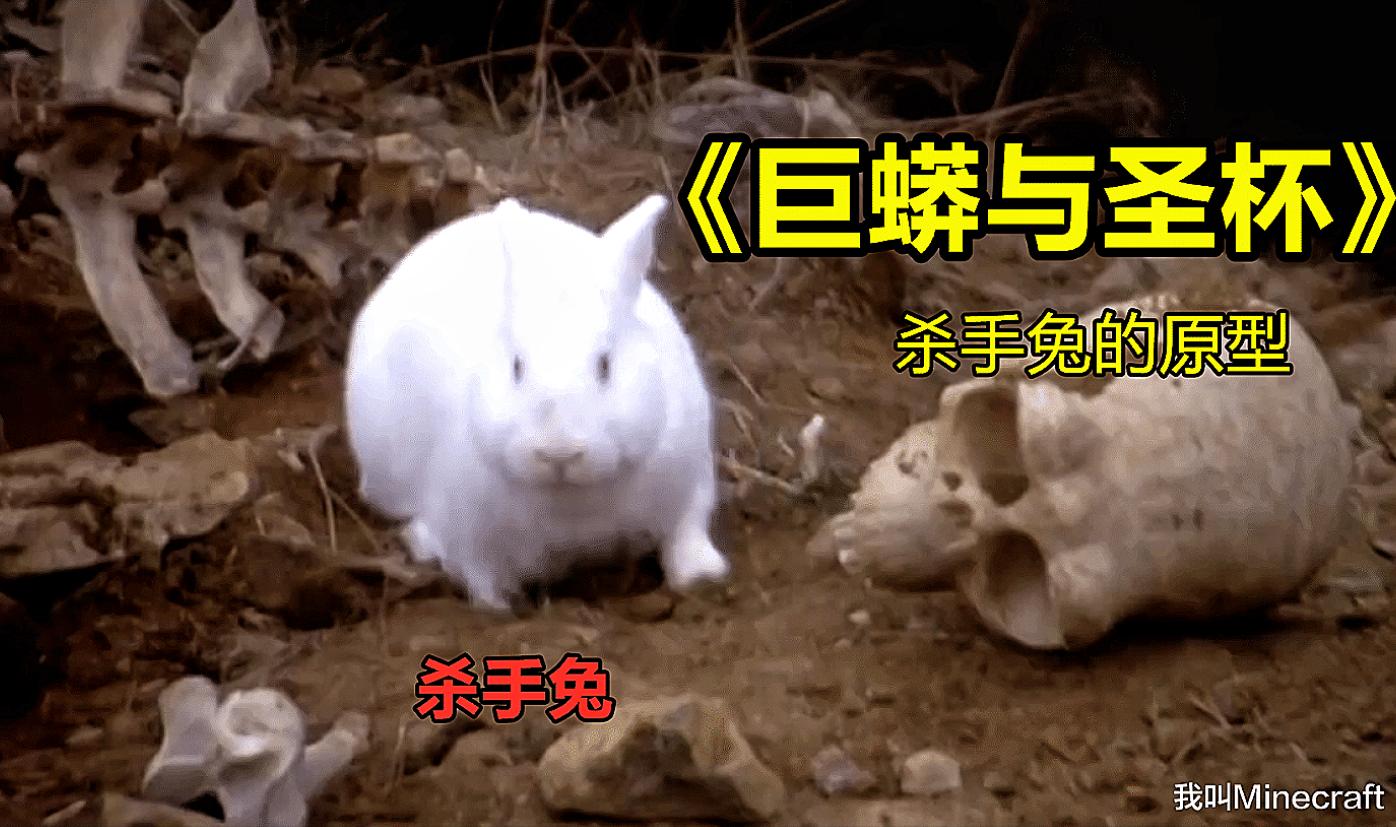 我的世界早期的杀手兔,我的世界唤醒杀手兔的真实形态