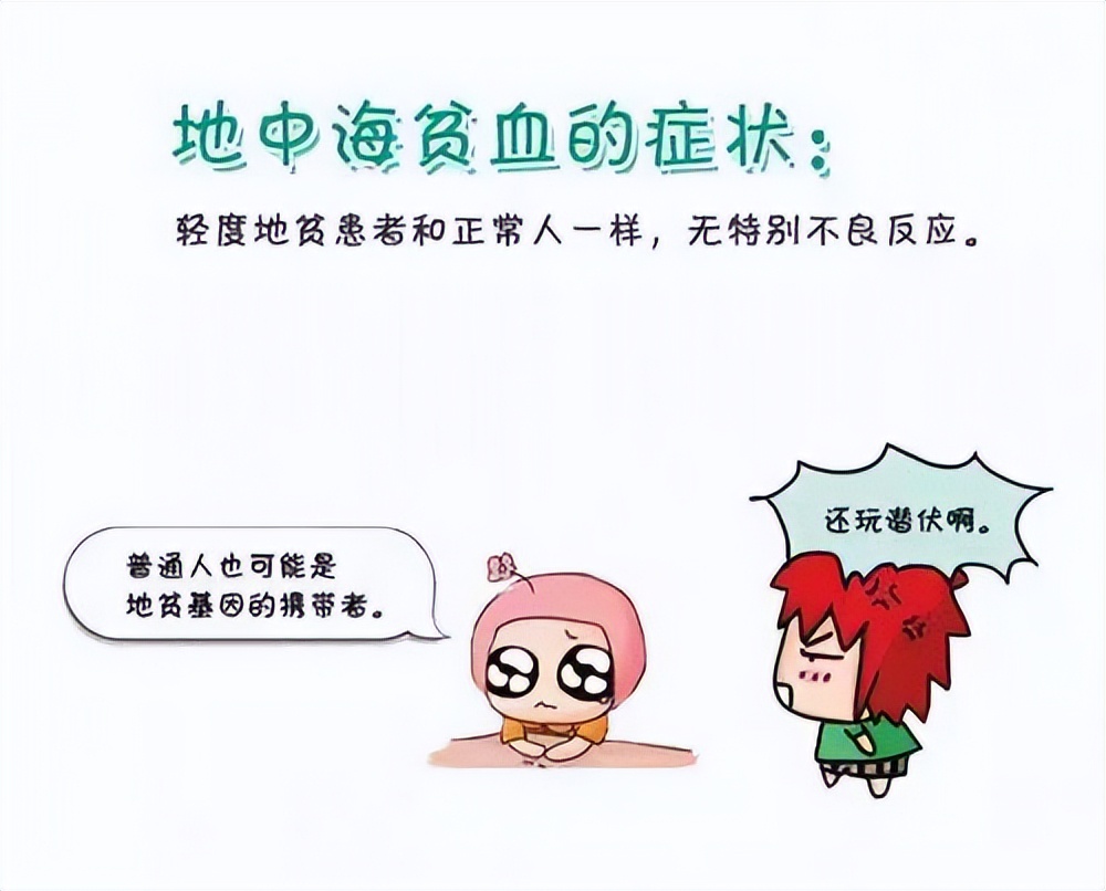 地中海贫血症状危害,轻型b型地中海贫血