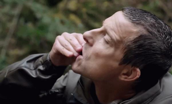 蚂蟥用活的吸血有什么危害,蚂蟥吃到肚子里有什么危险