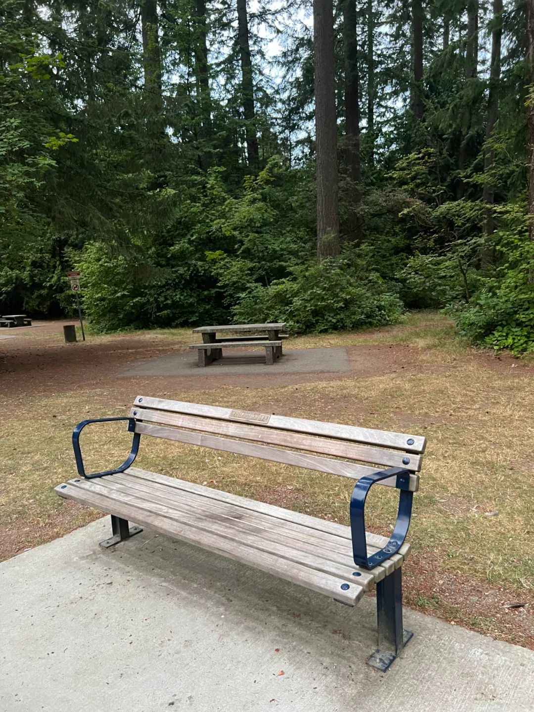 加拿大本拿比中央公园的纪念椅和无法安息的申小雨