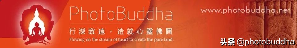 最近很火爆的佛系视频,最近很火的佛系生物