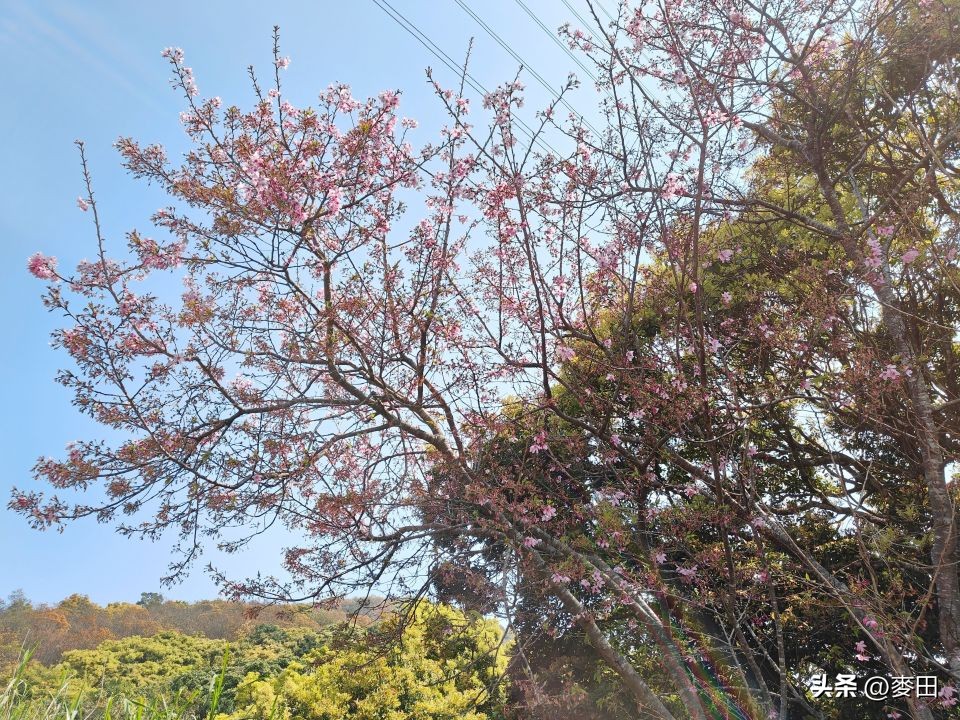 618值得买的高性价比的千元手机,618手机推荐性价比高2000内一加