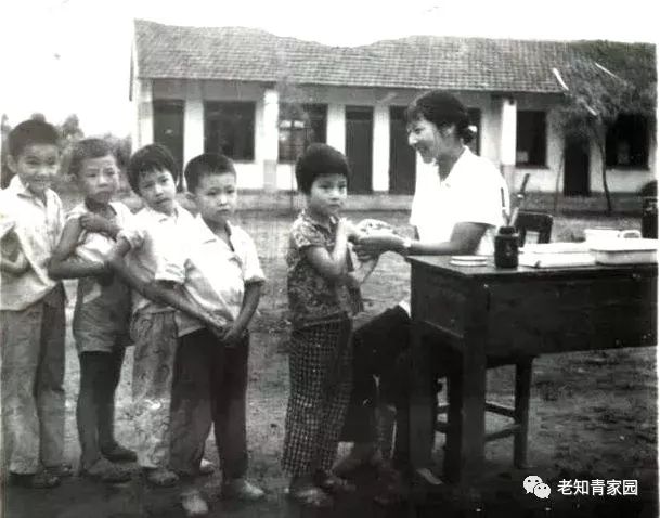 50年代的少年,50年代的人成长经历