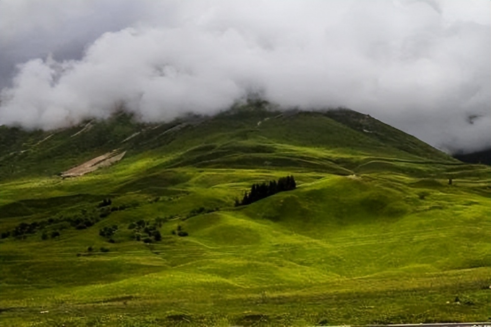 *疆新**为什么不包邮？看完*疆新**有多大就清楚了