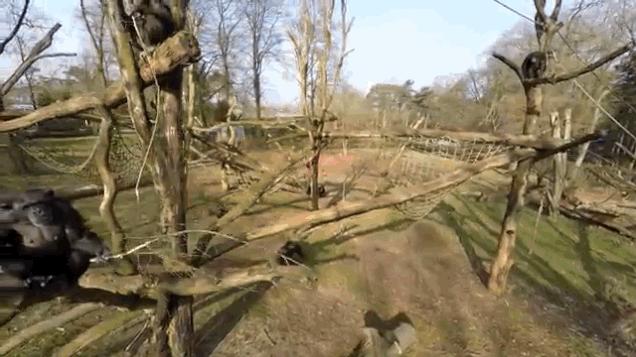 80张神奇偶然瞬间，环形闪电，海蛇和最毒石斑鱼互咬，骑骆驼拍照