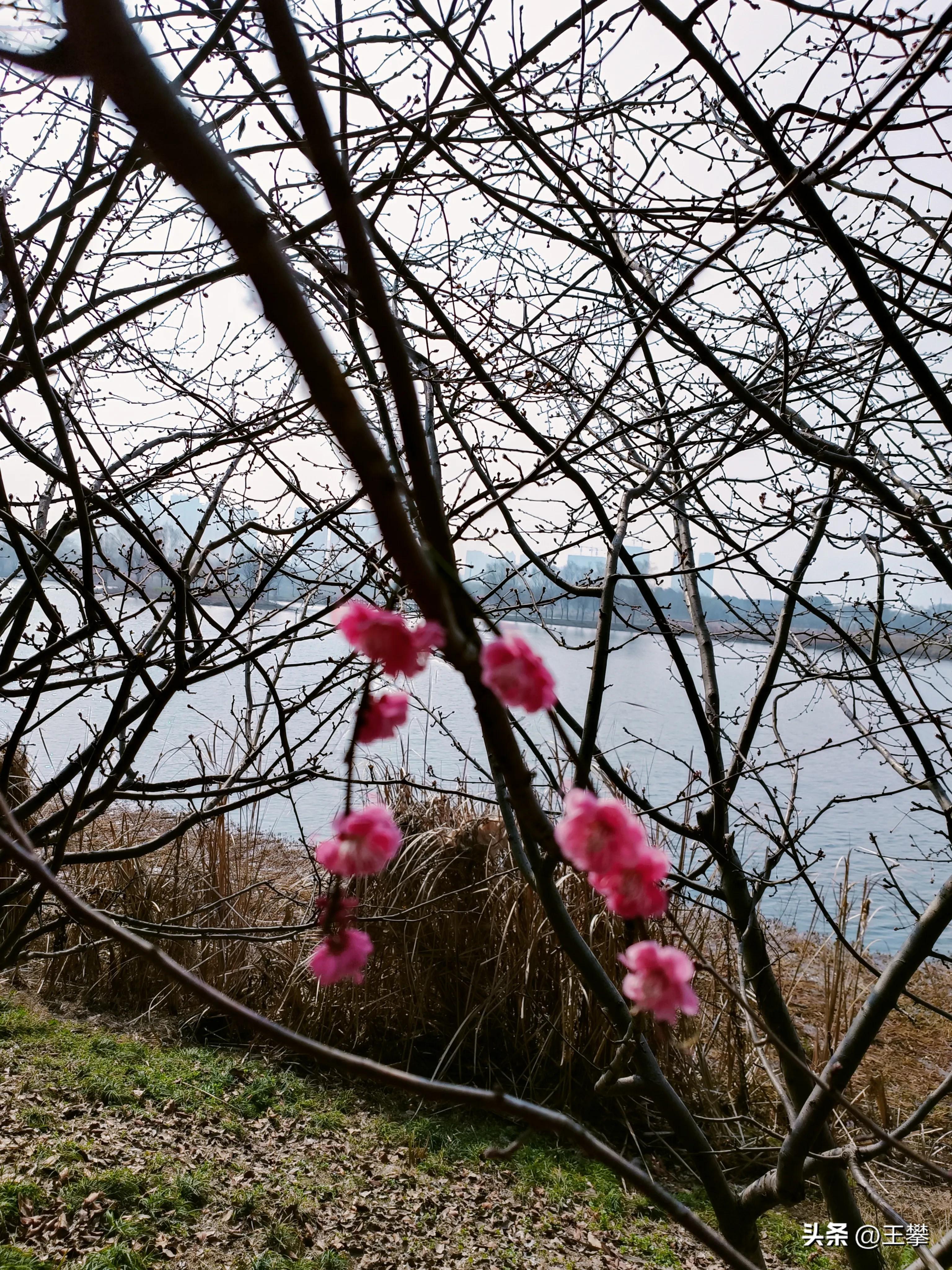 到底是为了谁女声版正版原唱,到底是为什么有很多话要说