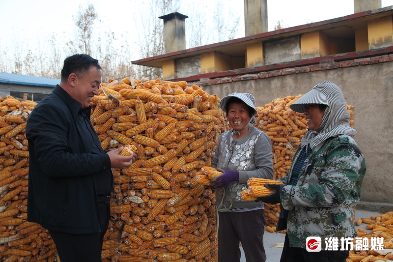 根植土地的致富带头人——记诸城市相州镇金叶社区高戈庄网格*党**支部书记秦小明