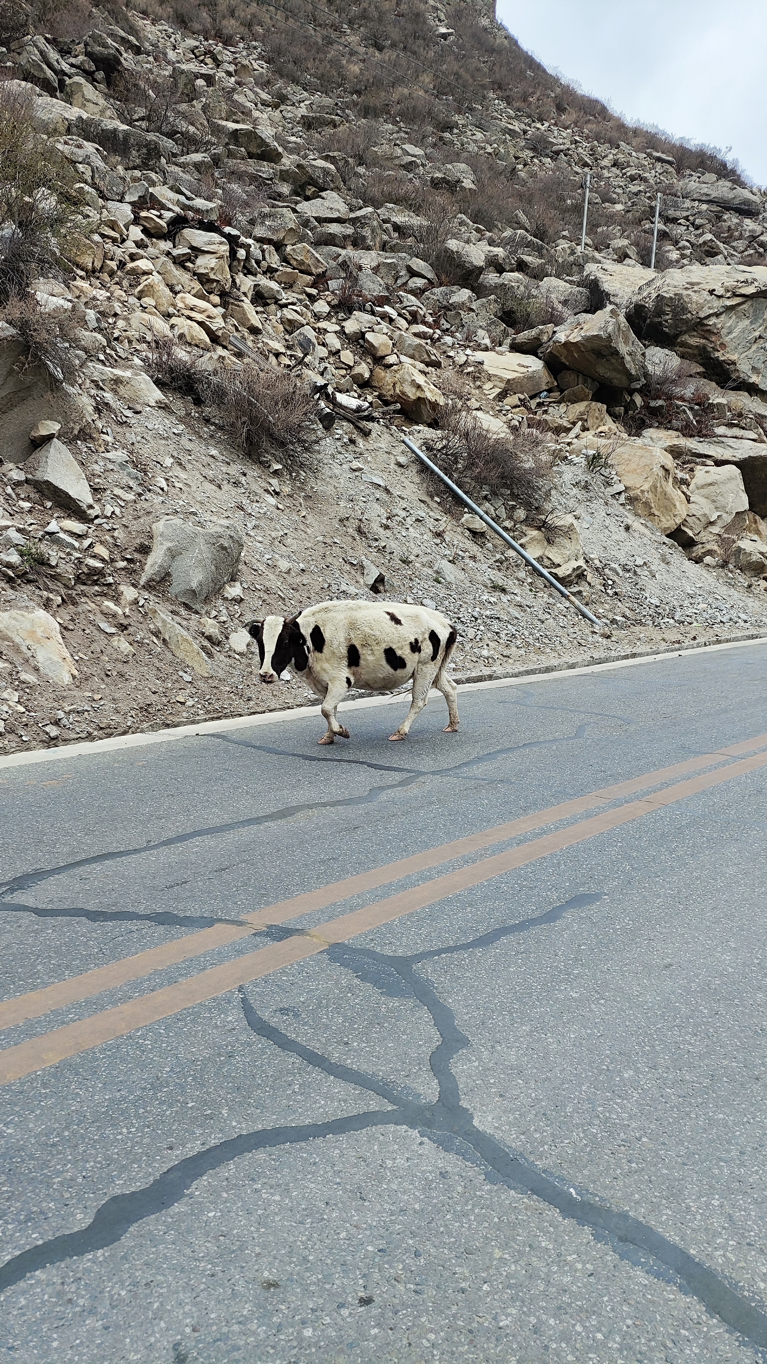去外省穷游三五天6千块够了吗,云南5天穷游多少钱