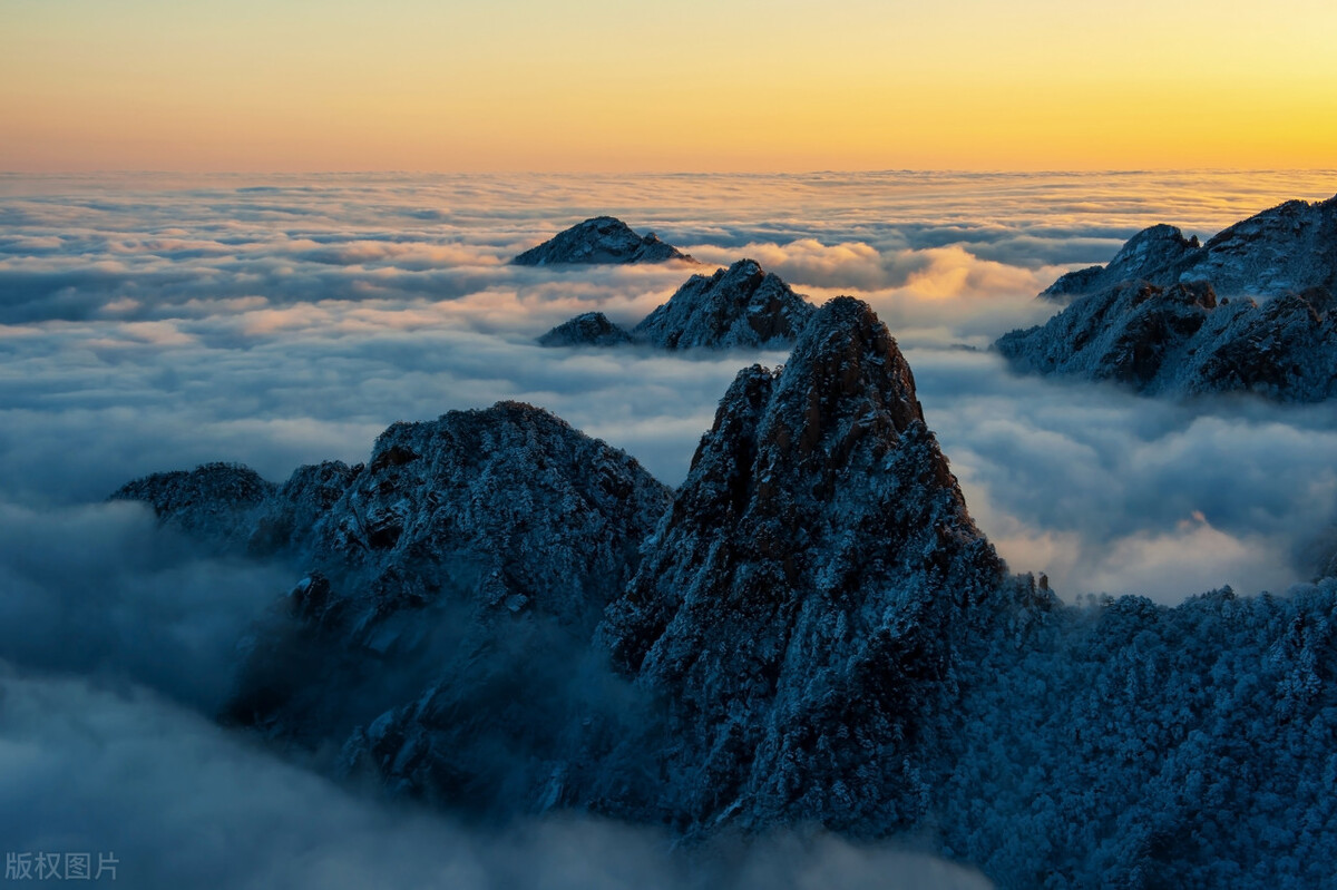 奇葩的购物商店,奇葩商场购物