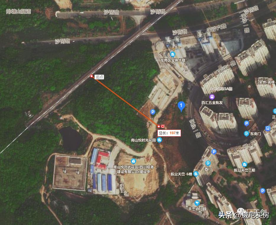 韭菜盘！南山悦时光，你在坪山呀