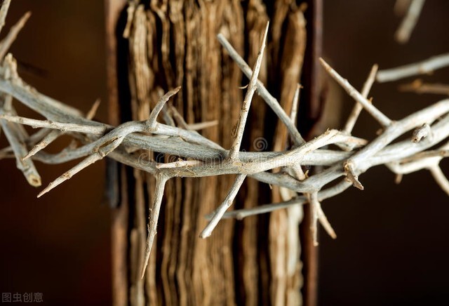 迷乱的角色9,迷乱大结局