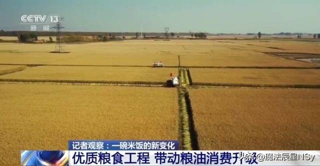 好粮大米,好粮好料出好酒