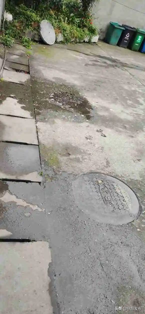 网友“果敢”、“一朵小仙女”、“芯猪悦猪”……你们反映的问题有官方回复了