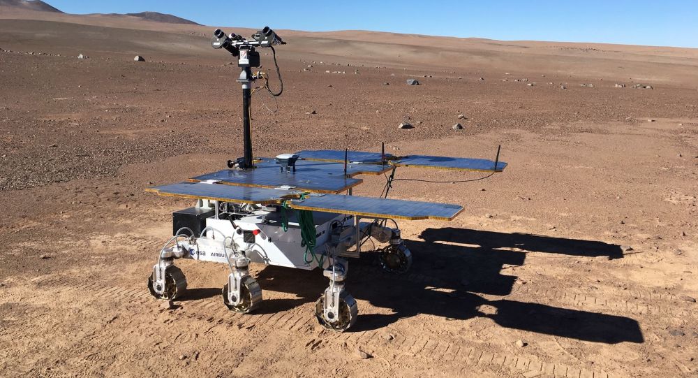 阿联酋基础建设,阿联酋的优势与劣势