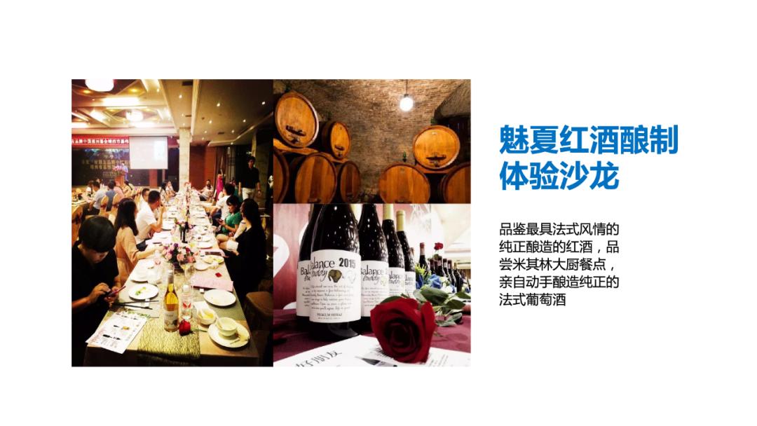 【案例】天目依云推广策略视觉提案