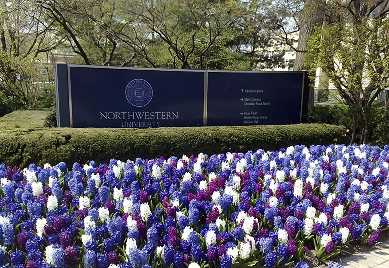 学姐分享丨心理学申请，CV\PS\推荐信如何侧重才能吸引招生官？