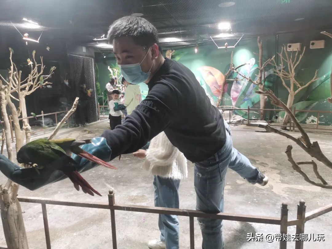 天津海昌极地海洋公园冬天营业吗,天津海昌极地海洋公园游玩攻略