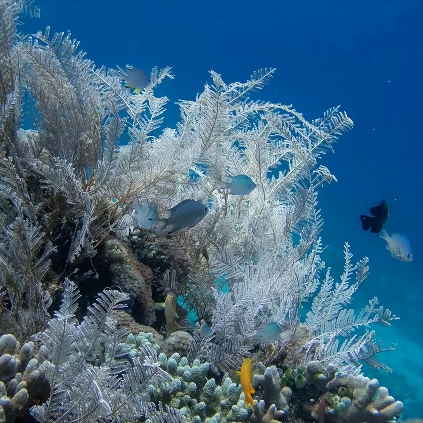 我的六日游——“浪漫之地”杜马盖地