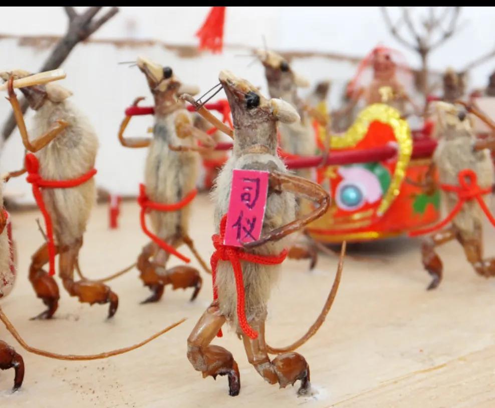 小时候治疗鼻炎吃什么药,小时候治鼻炎用黄色液体药叫什么