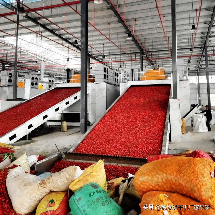 华景智农辣椒烘干机操作流程,大型辣椒烘干设备生产线