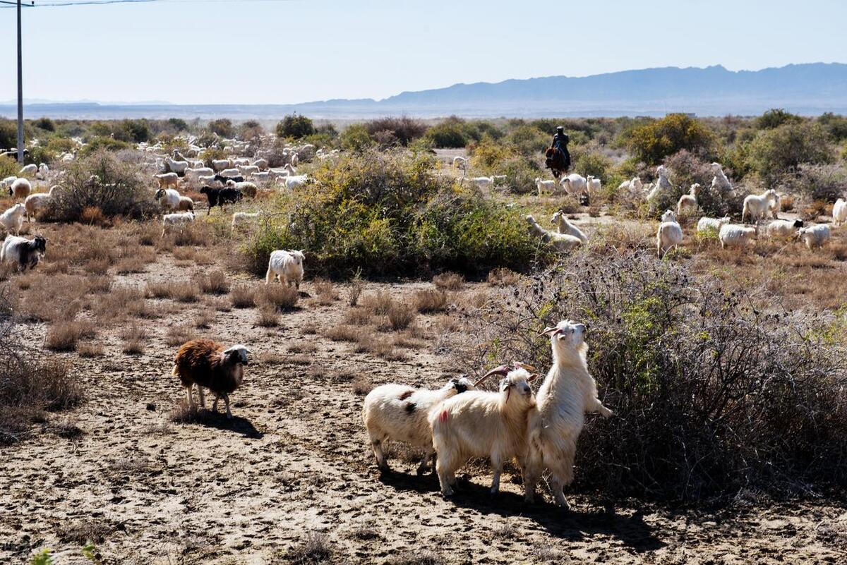 青海小众旅行地点,被遗忘的省份青海