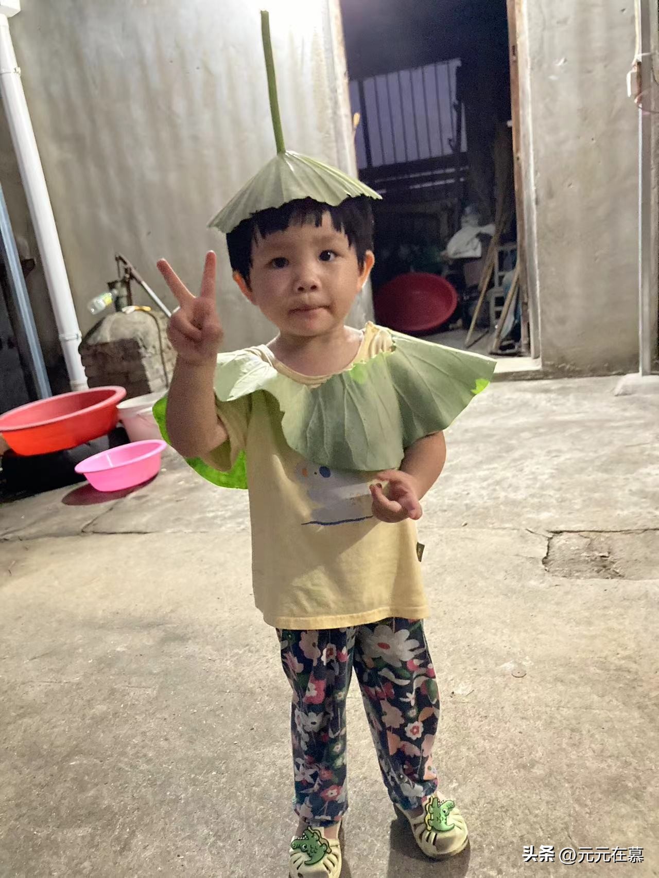 回农村是快乐的吗,回老家度假的快乐