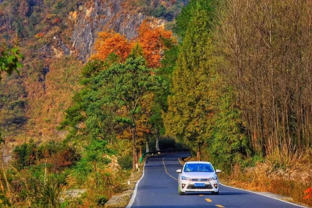 自驾宝藏旅游地分享,老司机自驾游捡漏