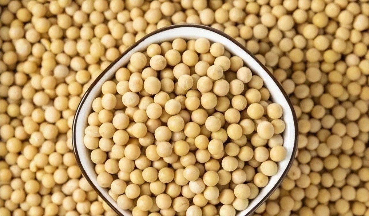 巴西对中国出口大豆问题,巴西大豆对中国出口新政策