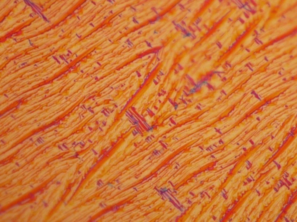 显微镜下的化学,显微镜下的世界奇妙图