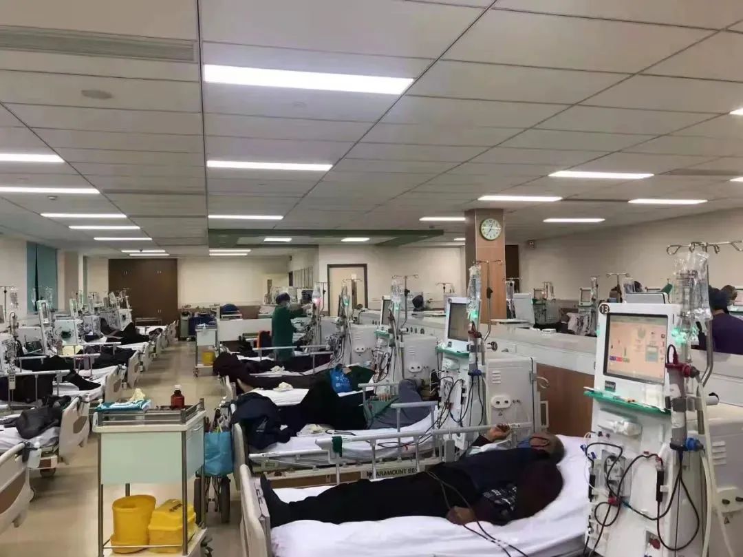 春暖花开为你守护,春暖花开陪伴一生