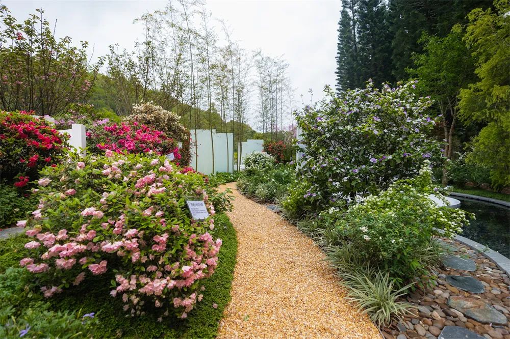 切尔西花展最佳花园,切尔西花展金奖设计