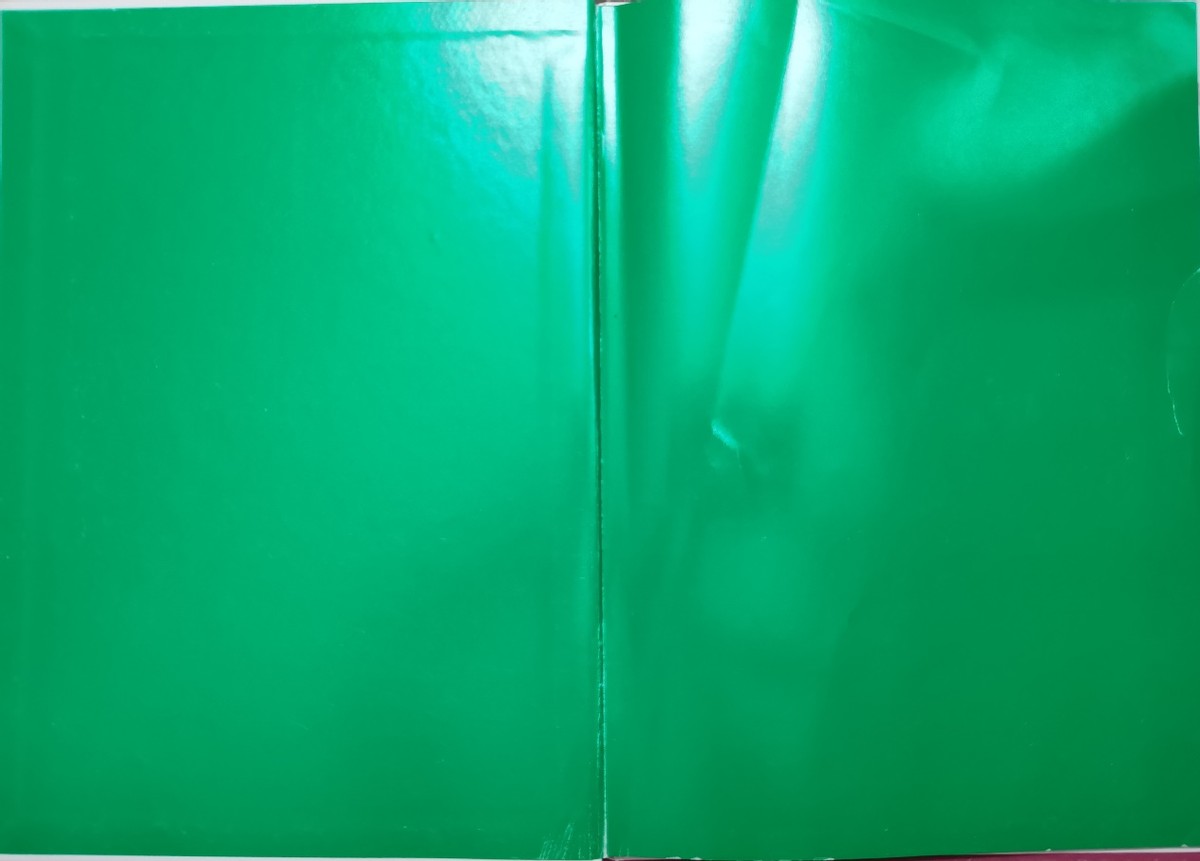 拼拼凑凑的变色龙绘本讲述,拼拼凑凑的变色龙绘本怎么导入