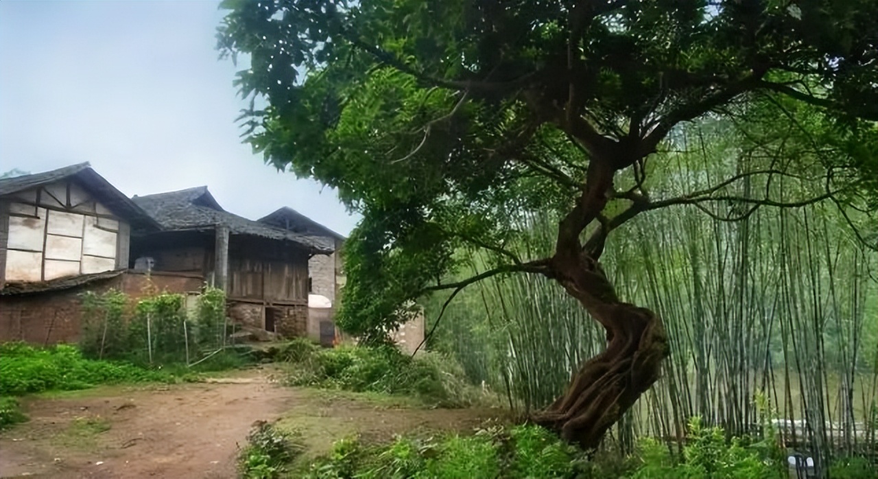 低调惊艳又神秘！乐山这座隐世古镇你肯定没去过！！