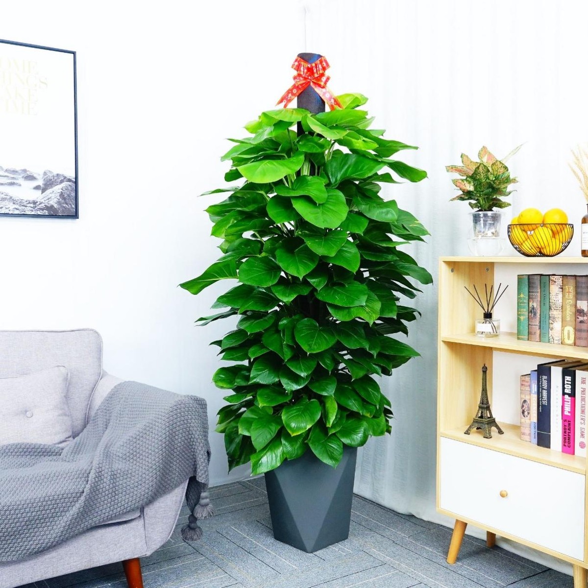 新房除醛关窗还是开窗效果好,新房除醛需要通风多久