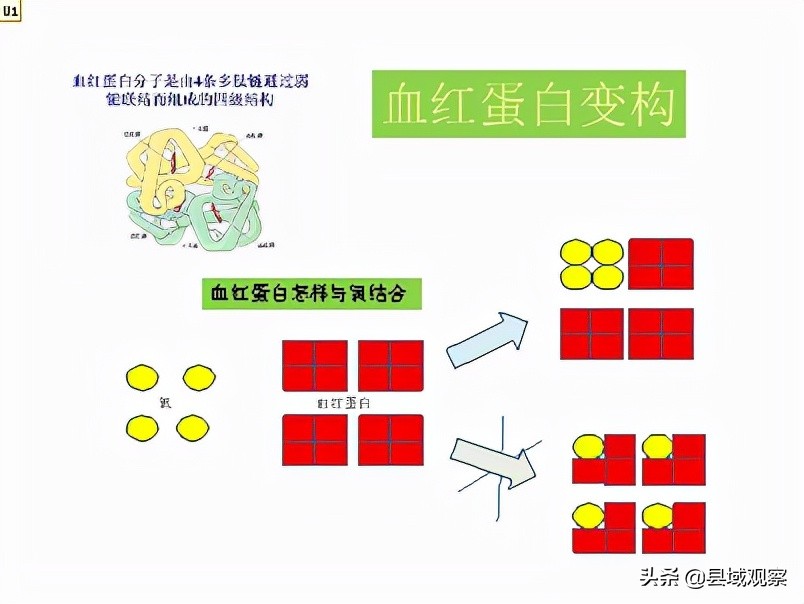 生命守护者人民的健康卫士,生命健康的守护者