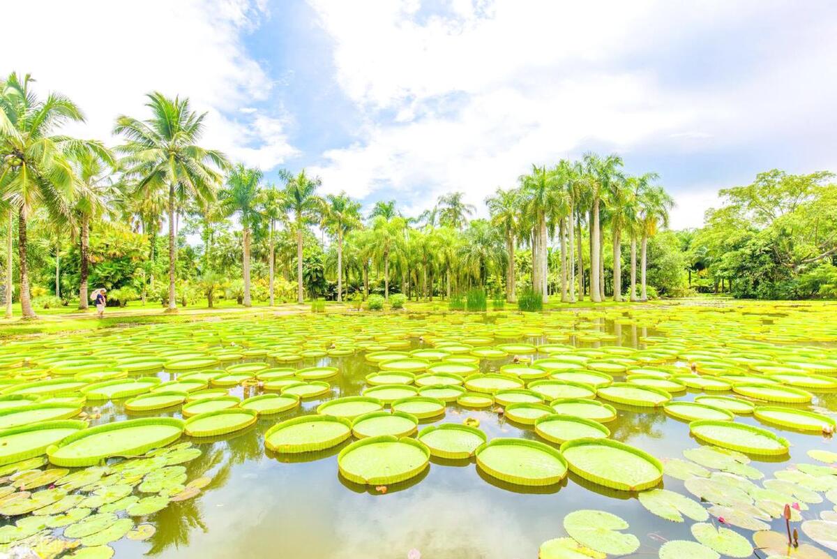 云南十大最坑景点排名,云南十大最值得去的景点