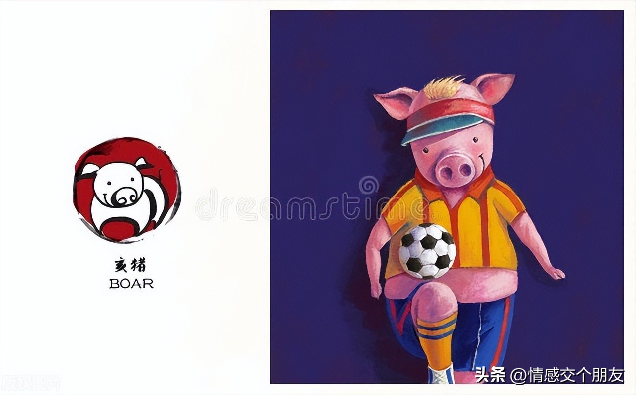 十二生肖猪和生肖龙,生肖猪和生肖龙相差多少