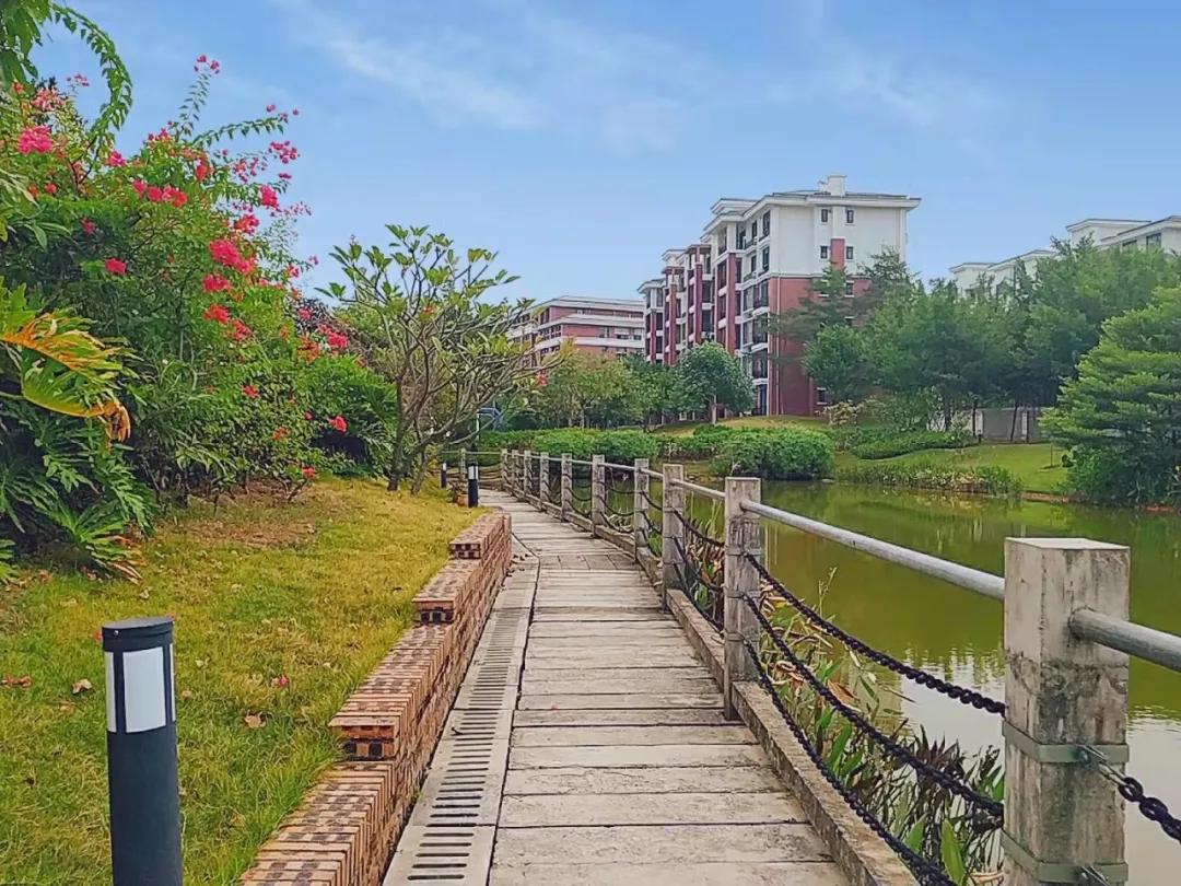 广东碧桂园职业学院招生计划,广东碧桂园职业学院2023年