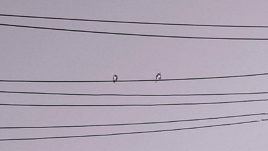 十一月云南旅游攻略腾冲 (从云南腾冲看云南旅游攻略)