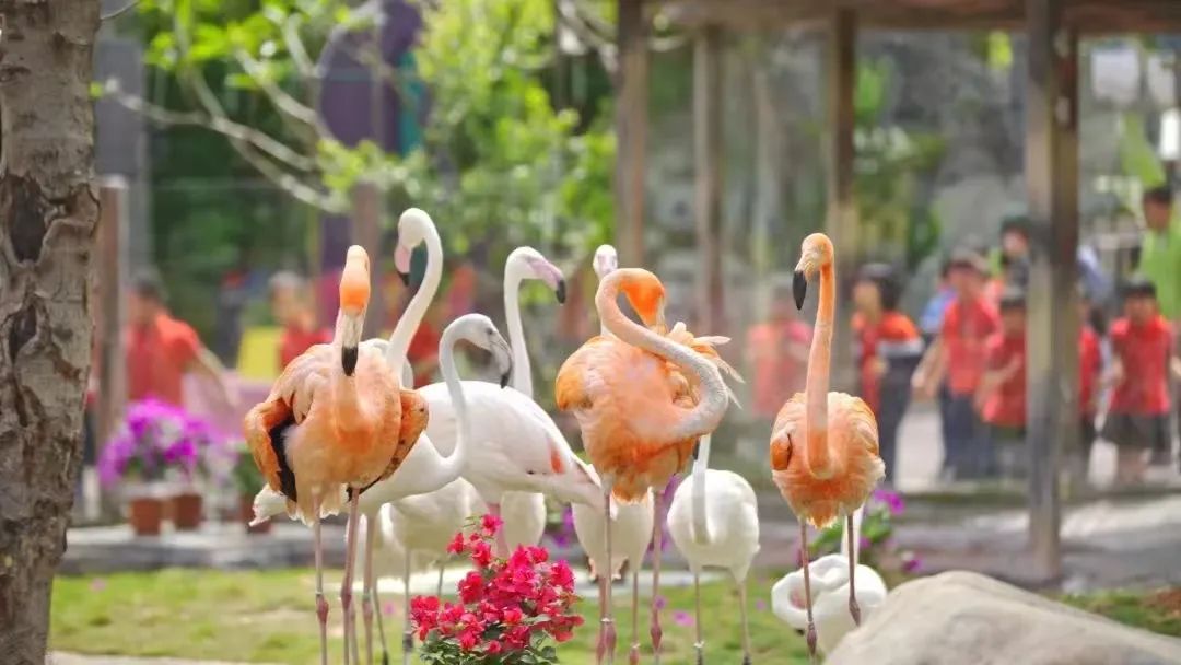 畅玩！放松遛娃，清新山海去哪里→