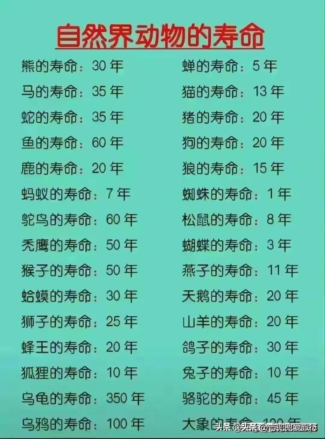 百威啤酒和青岛啤酒哪个好喝,中国啤酒品牌排行榜