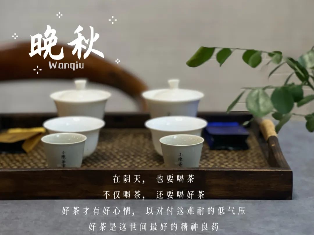 小雪节气喝什么茶,小雪节气养生喝茶