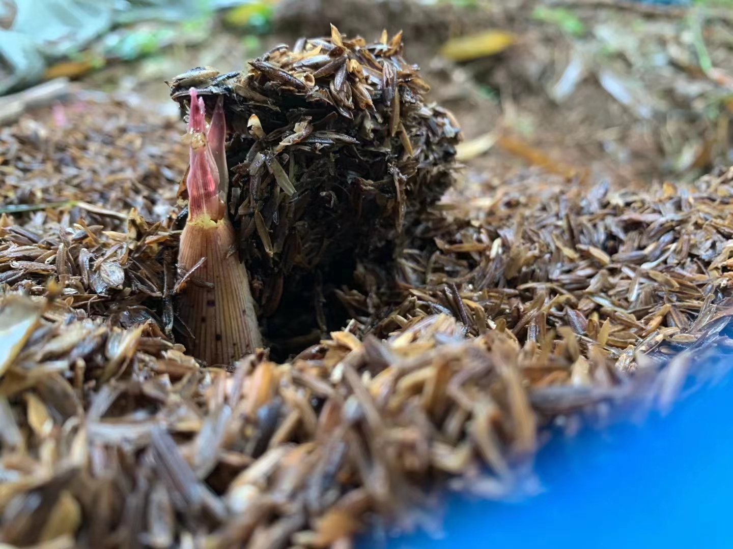 40到50岁创业商业思维致富经,创业者说科技兴国