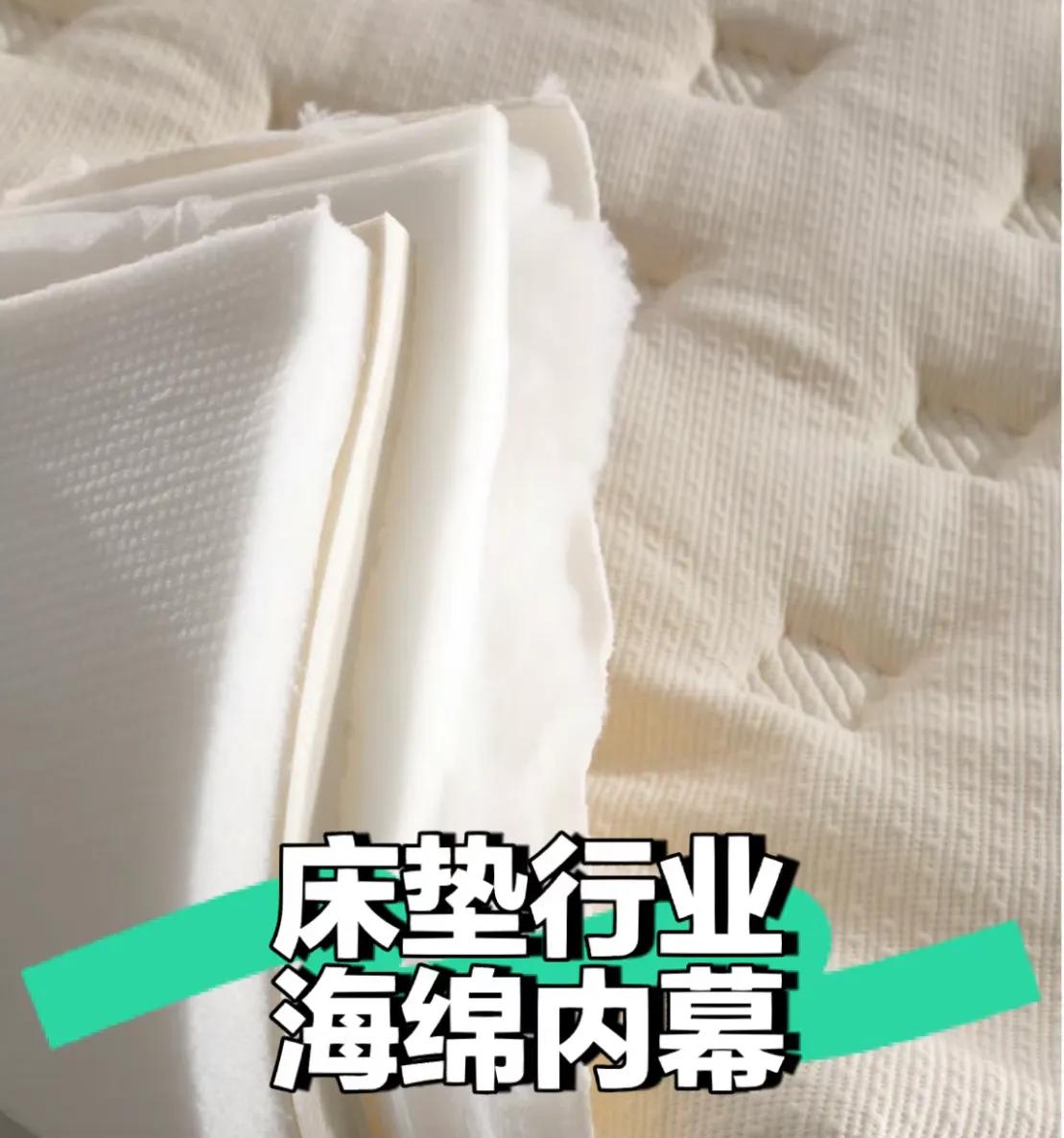 试睡100天床垫,贵的床垫和便宜的床垫差在哪里