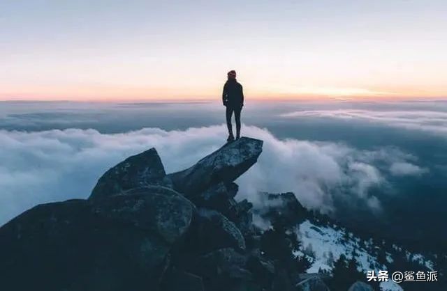 鲨鱼哥揭秘营销高手,鲨鱼哥电子产品